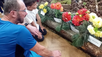 Výstavu jiřinek v Heřmanicích navštěvuje víc lidí, než má obec obyvatel