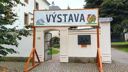 V centru města kokrhají kohouti a vrkají holubi