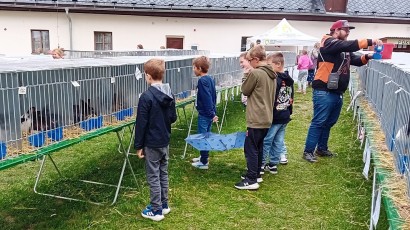 V centru města kokrhají kohouti a vrkají holubi
