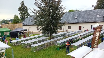V centru města kokrhají kohouti a vrkají holubi