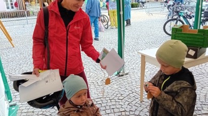 Lanškrounská kopa v číslech
