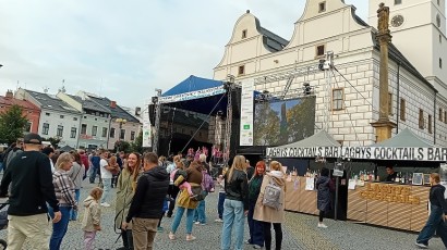 Městské slavnosti obrazem