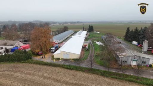 Další případ ptačí chřipky v Albrechticích