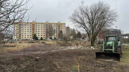 Město kácí v „mokřadu“ za škvárovým hřištěm