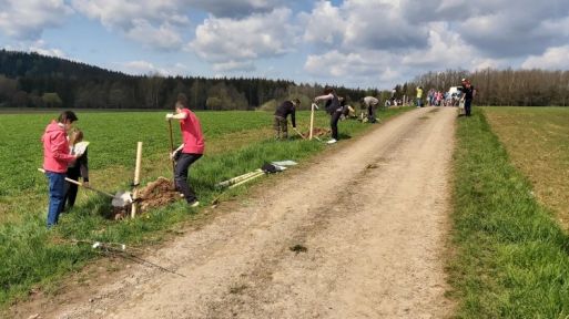 Lanškrouňáci společně vysadili novou ovocnou alej