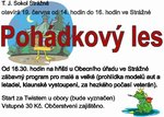 Plakát