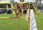 Agility