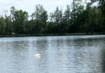 rybnik