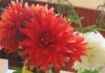 jiriny