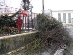 prorezavani_stromu