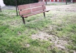 posecena_trava