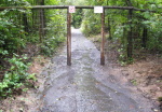 cesta
