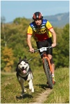 husky