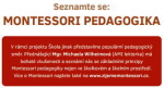 pedagogika