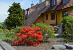 kvetouci