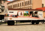 cadici