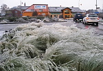 181203 stipa