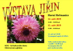 190906 jiriny