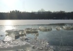 Rybník