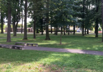 190807 rozpocet