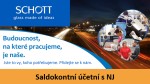200528 schott