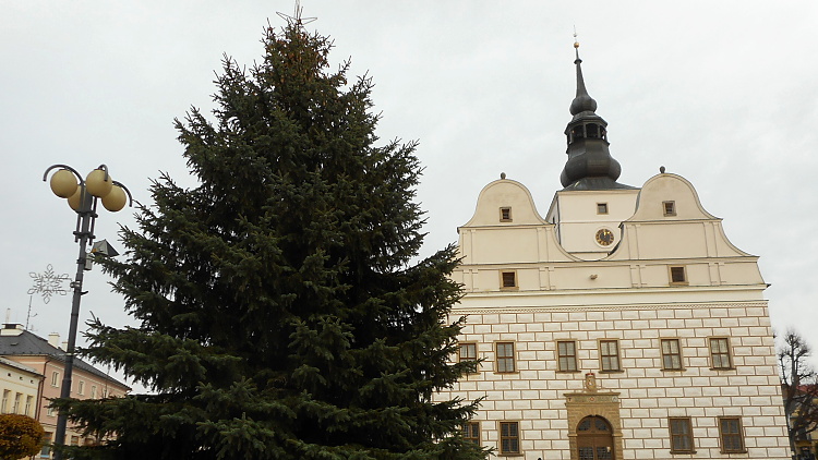 Vánoční strom byl přepraven na náměstí. Zdobit se začne v pondělí