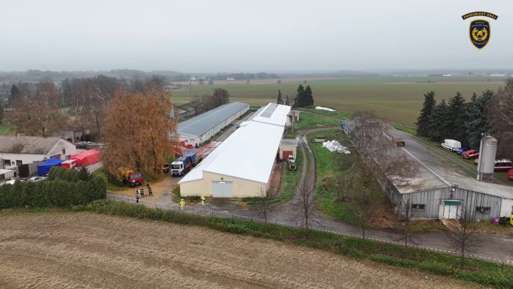 Další případ ptačí chřipky v Albrechticích