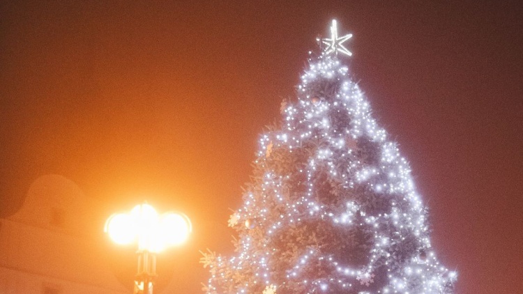 O první adventní neděli se v Lanškrouně rozsvítil vánoční strom