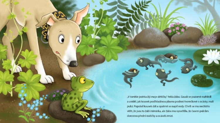 2. březen až 30. duben - Veronika Balcarová: Gaudí v tajemné zahradě