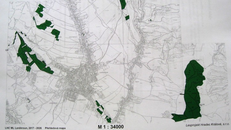 Rada města už půl roku odkládá zadání auditu hospodaření v městských lesích
