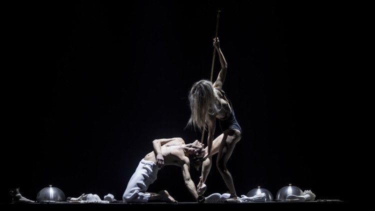 3. září - Tantehorse: Light in the Darkness (Čechová+Vizváry)