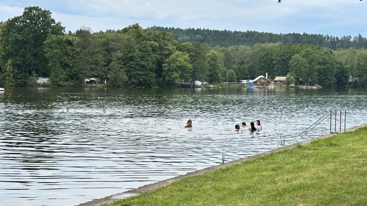Rybník v horkých dnech láká k osvěžení. Kvalita vody je neznámá